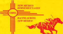 Logo---NM-Horseman